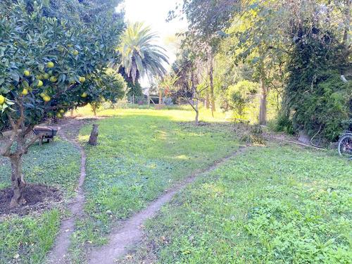 Imagen 13 de 13 de Venta Casa Paso De La Arena - Adolfo Pastor