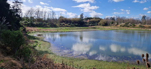 Venta Chacra 28 Ha Abayuba Arroyo Y 2 Tajamares C.rigel