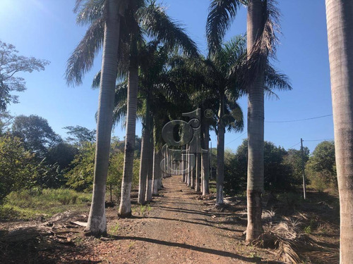 Imagem 2 de 25 de Chácara Com 3 Dormitórios À Venda, 31000 M² Por R$ 850.000,00 - Agua Das Flores - Jataizinho/pr - Ch0032