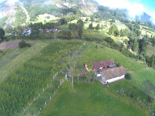 Imagen 3 de 8 de Vendo Finca En Yacudel, Area 21330 M2 Con Casa De Campo