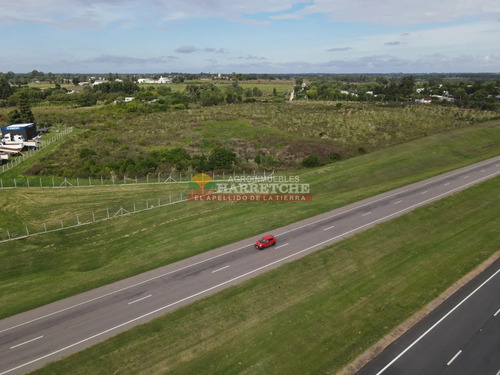 Terreno Logístico Sobre Ruta 5 Con 200 M De Frente, Dueño Financia!