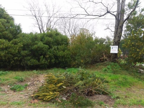 Imagen 5 de 5 de Lote De 10 X 40 En Las Toninas