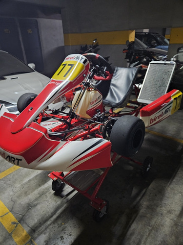 Shifter Kart Birel