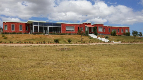 Chacra Con Muy Buena Casa Con Piscina