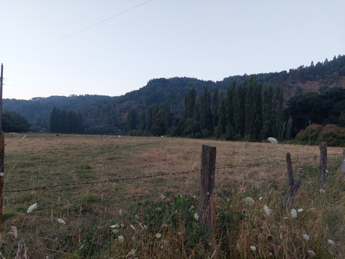 Predio Agrícola