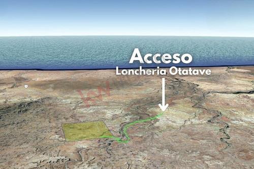 Terreno De 1,000 Ha En Km 97 Carretera A C.constitucion Con Ojo De Agua B.c.s.