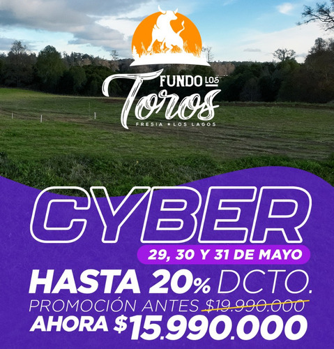 Parcelas Fundo Los Toros, Fresia Región De Los Lagos