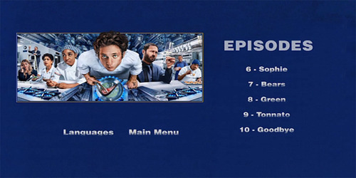 The Bear / El Oso Temporada 4 Dvd Latino/ingles