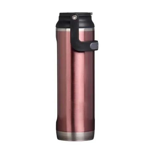 Botella De Agua Térmica Igloo Sipper 20 Oz 591 Ml Flamingo