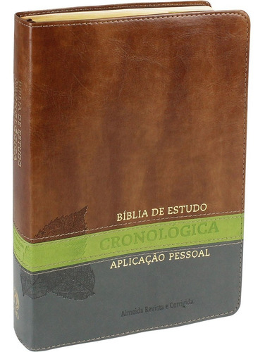 Bíblia De Estudo Cronológica Aplicação Pessoal Original