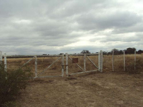 Imagen 4 de 9 de Campo Ganadero En Venta En Santiago Del Estero