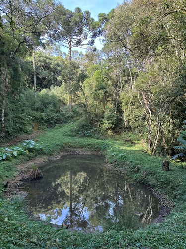 Paraíso À Venda Sítio Com Nascentes, Córrego E Natureza Intocada Em Bocaiuva Do Sul - Pr - 4 Hec