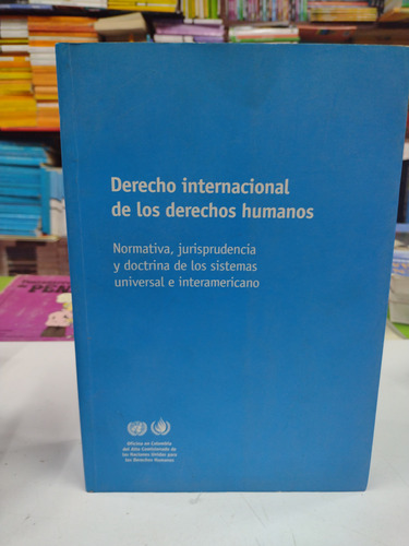 Derecho Internacional De Los Derechos Humanos 