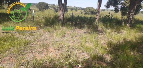 Imagem 4 de 7 de Fazenda À Venda Em Figueirão - Ms - De 1.003 Hectares (pecuária) - 1684