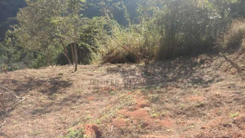 Imagem 14 de 15 de Lote / Terreno Em Corrêas - Petrópolis - 7595