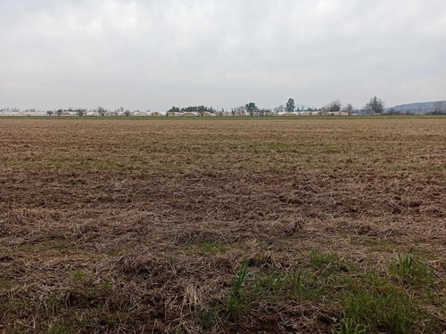 Terreno Agrícola En Venta, Campo De 21 Ha, San Clemente
