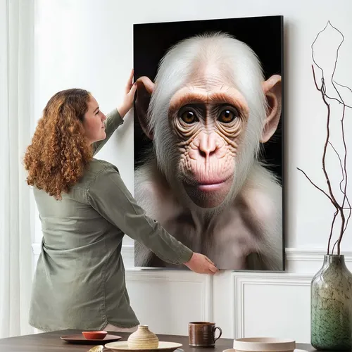 Quadro Decorativo Grande Chimpanzé Macaco Albino 84x60 R10