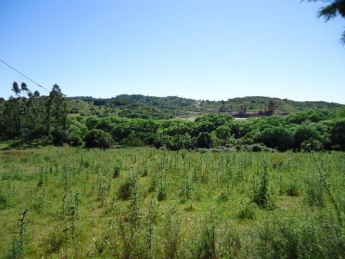 Campo En Venta En Lavalleja, 65 Hectáreas.