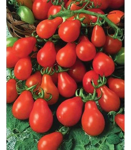20 Semillas De Tomate Cherry Pera Rojo Reliquia Orgánico