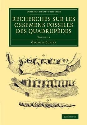 Recherches Sur Les Ossemens Fossiles Des Quadrupedes 4 Vo...