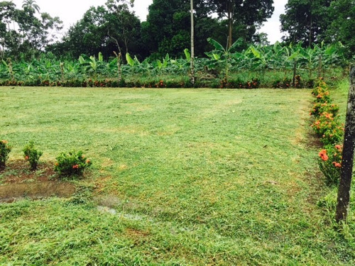 Imagen 8 de 10 de Se Vende Lote 749 M2 La Fortuna San Carlos