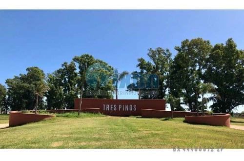 Imagen 2 de 5 de Barrio Cerrado Tres Pinos - Polo - Lote Venta Usd 30.000