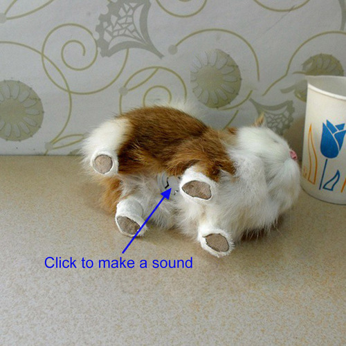 Peluche Con Forma De Gato De Peluche Fluffy