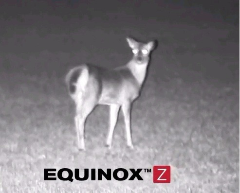 Imagen 6 de 9 de Visor Nocturno Bushnell 4,5x40 Equinox Z2 Wifi Video Fotos.