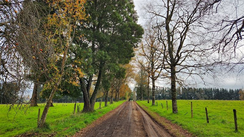 Agrícola En Venta En Paillaco