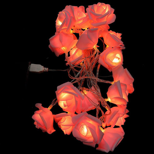 Vosarea 3 Metros Led Led Led Rose Lughtes Usb Luces De Luces