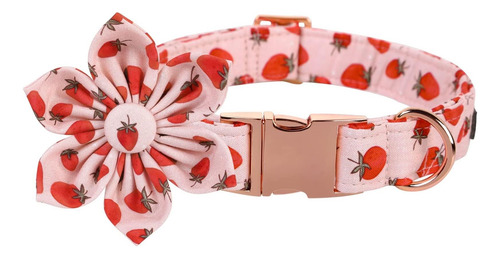 Collar Para Perro Lionet Paws Lindo Con Flores