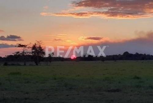 Imagen 4 de 15 de Finca En Venta Vía El Sur. Maturín (1)