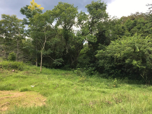 Imagen 8 de 30 de Chacra De 50 Hectáreas En Venta