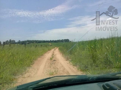 Imagem 9 de 11 de Cod 3943 - Área Com 40 Alqueires A 900 Metros Da Raposo Tava - 3943