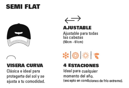 Imagen 3 de 3 de Gorra Cap Trown - Semi Flat Negra Mod. Alerces - Importada
