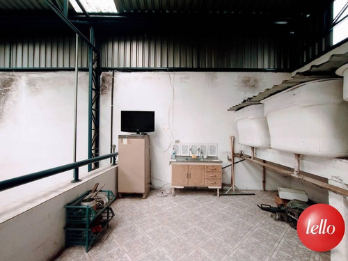 Imagem 12 de 22 de Comercial/industrial - Ref: 241474