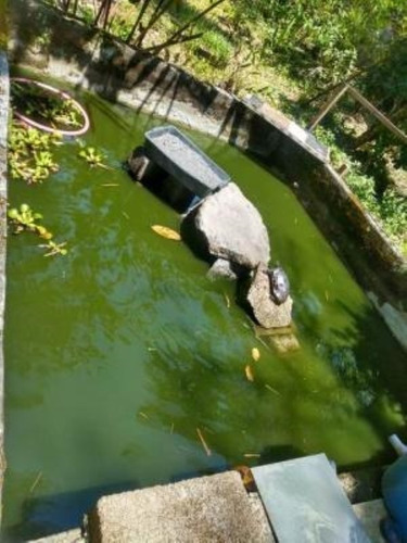 Imagem 15 de 28 de Chácara Com Piscina, Churrasqueira E Árvores Frutíferas, Em Itanhaém, No Jardim São Fernando Ref: 6054/ac
