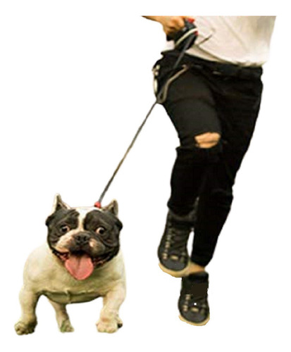 Correa Retráctil Extensible Para Perros Talle M Color Vs
