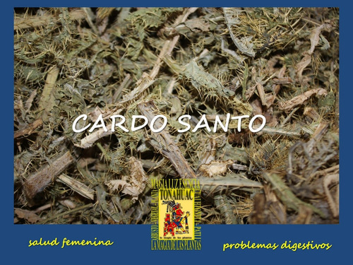 Cardo Santo O Chicalote 125gr Salud Femenina  Envio Gratis 