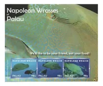 Comprar Fauna Marina - Pez Napoleón - Palau - Hojita Mint