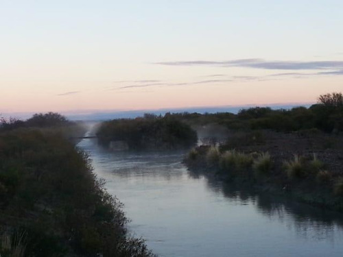 Imagen 9 de 20 de Campo En Venta 400 Ha - Colonia Elena- San Rafael - Mendoza