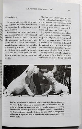 Valiño. El Cachorro Dogo Argentino. Cría De Perros. (Usado)