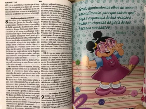 Bíblia Turminha da Graça para Meninas - Spovo