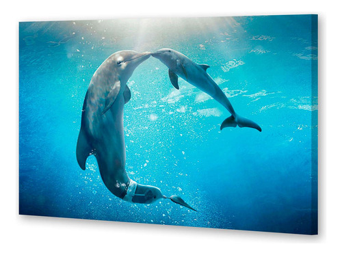 Cuadro 30x45cm Delfines Madre Hijo En El Agua Abrazo