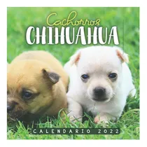Comprar Book: Cachorros Chihuahua Calendar 2022: Calendar 12 X