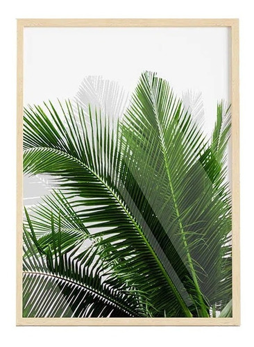 Cuadro Transparente Palm Leaf Iii  30 X 40 Cm  
