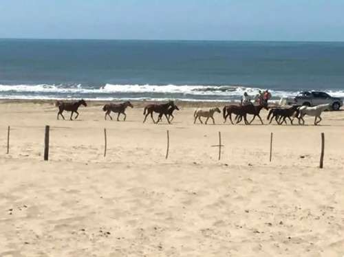 Imagen 13 de 14 de Departamento Nuevo Sobre El Mar En Chacras Del Mar