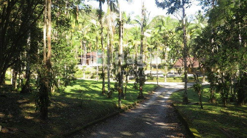 Chácara À Venda No Bairro Pomerânia - Guabiruba/sc - 1575c