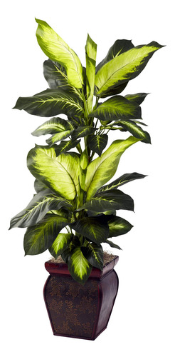 Dieffenbachia Dorada Con Maceta Decorativa Color Verde