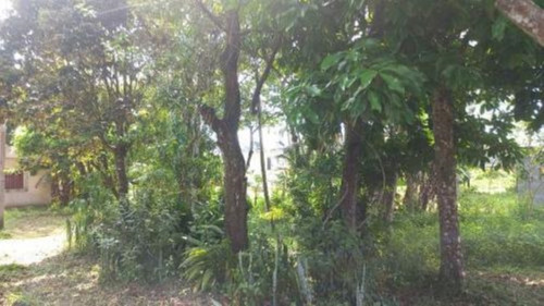 Imagem 17 de 24 de Chácara Com Edícula E Com 2.100 M² De Área Total, Em Itanhaém, No Bairro Palmeiras Ref: 9496/ac